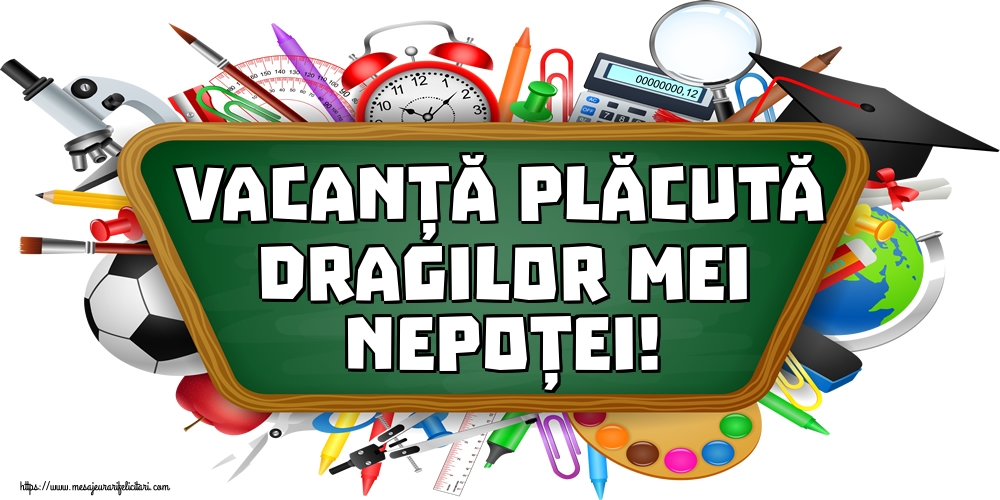 Vacanță plăcută dragilor mei nepoței!