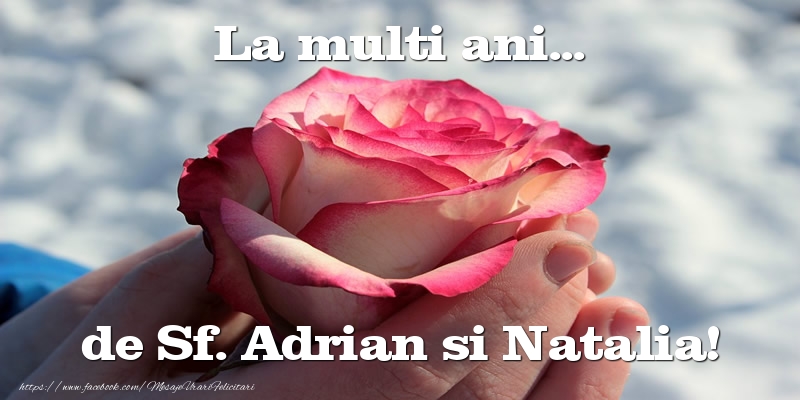 Felicitari de Sfintii Adrian si Natalia - La multi ani... de Sf. Adrian si Natalia! - mesajeurarifelicitari.com