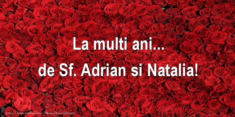 La multi ani... de Sf. Adrian si Natalia!