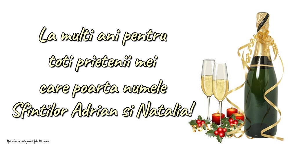 La multi ani pentru toti prietenii mei care poarta numele Sfintilor Adrian si Natalia!