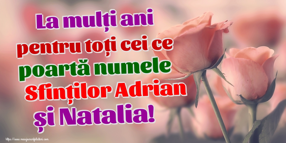 La mulți ani pentru toți cei ce poartă numele Sfinților Adrian și Natalia!