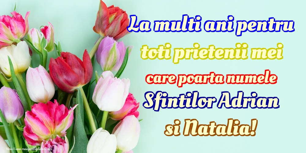 La multi ani pentru toti prietenii mei care poarta numele Sfintilor Adrian si Natalia!