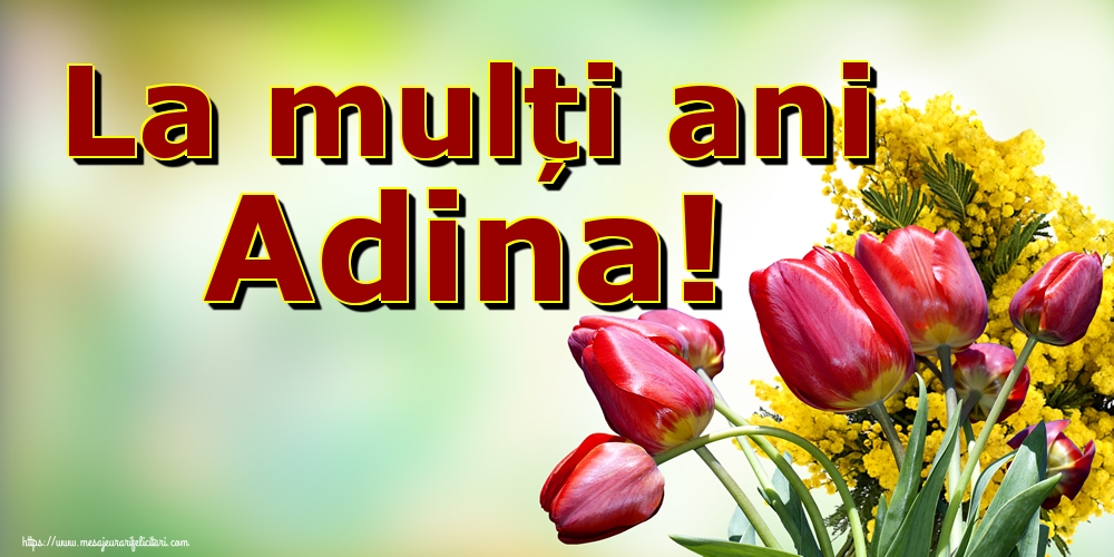 La mulți ani Adina!