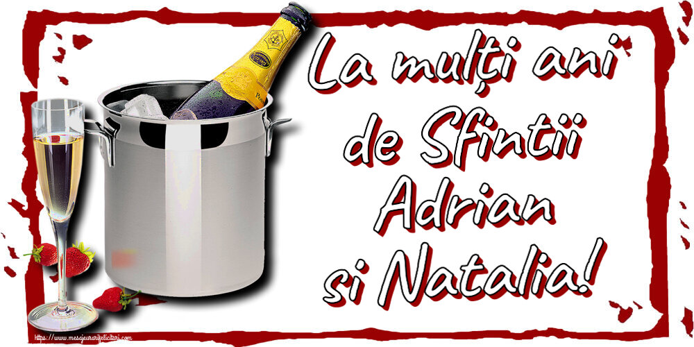 La mulți ani de Sfintii Adrian si Natalia! ~ șampanie în frapieră și căpșuni