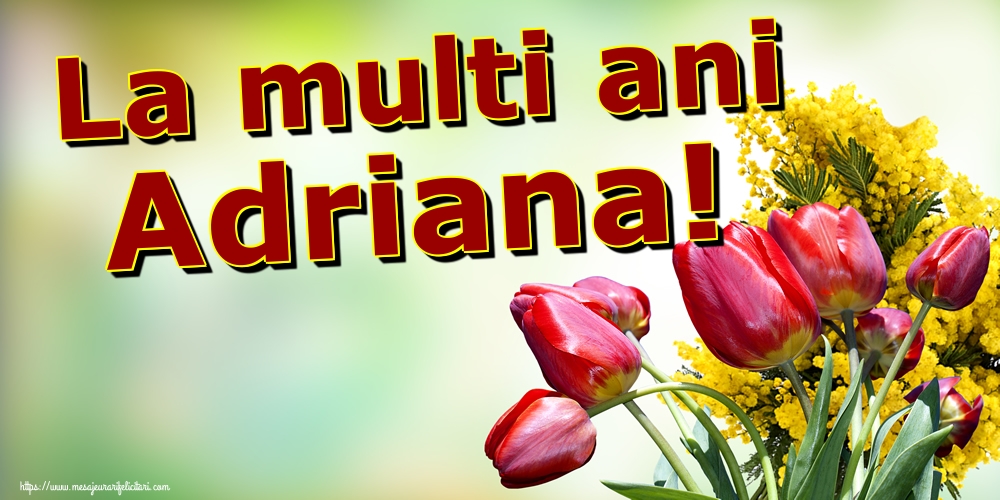 La multi ani Adriana!