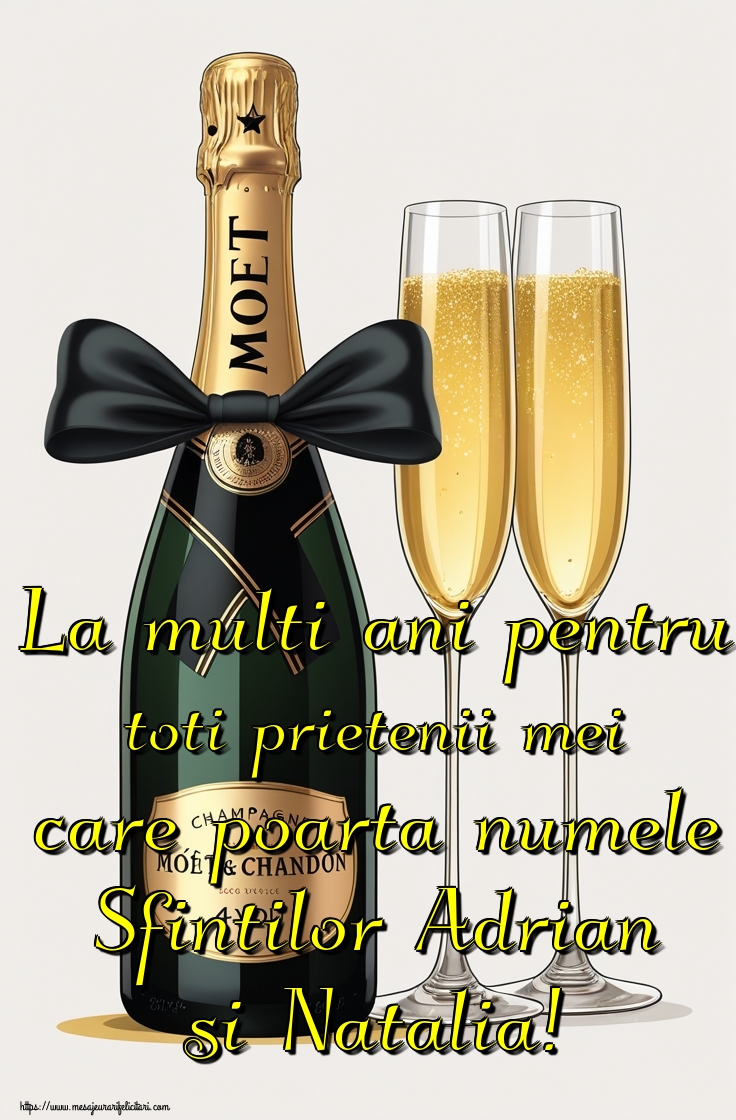La multi ani pentru toti prietenii mei care poarta numele Sfintilor Adrian si Natalia!