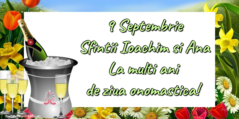 9 Septembrie Sfintii Ioachim si Ana La multi ani de ziua onomastica!