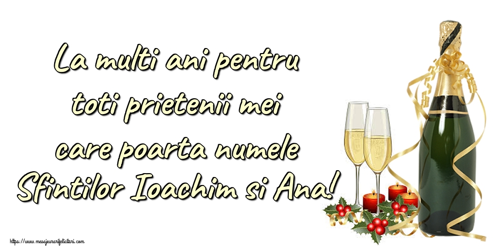 Sfintii Ioachim si Ana La multi ani pentru toti prietenii mei care poarta numele Sfintilor Ioachim si Ana!