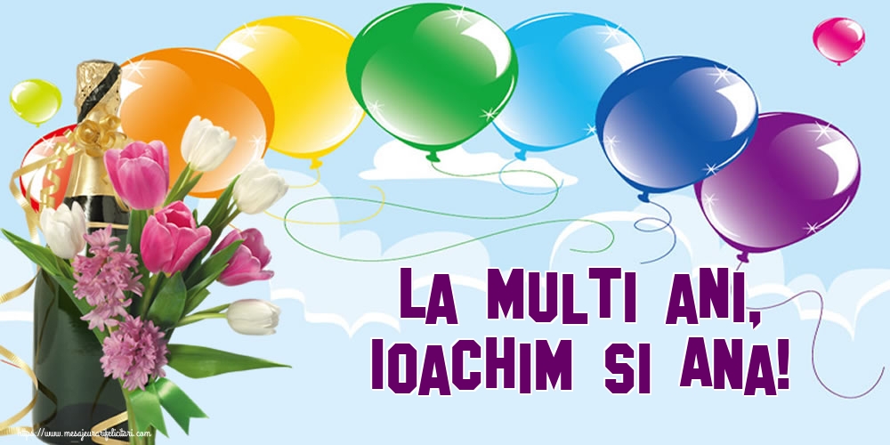 La multi ani, Ioachim si Ana!