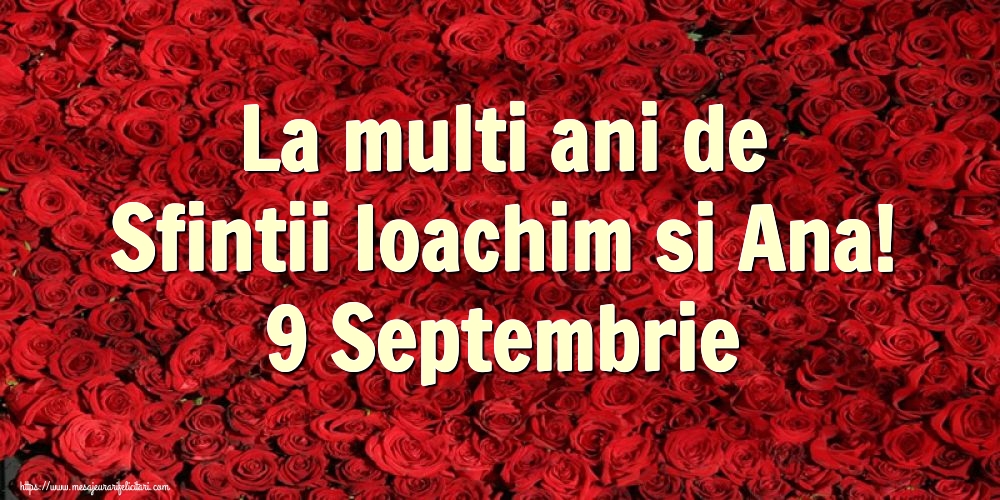 La multi ani de Sfintii Ioachim si Ana! 9 Septembrie