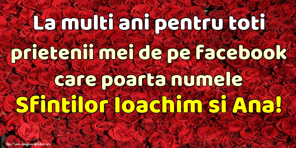 La multi ani pentru toti prietenii mei de pe facebook care poarta numele Sfintilor Ioachim si Ana!