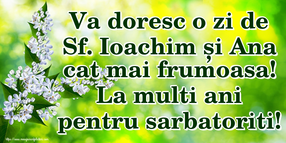 Va doresc o zi de Sf. Ioachim și Ana cat mai frumoasa! La multi ani pentru sarbatoriti!
