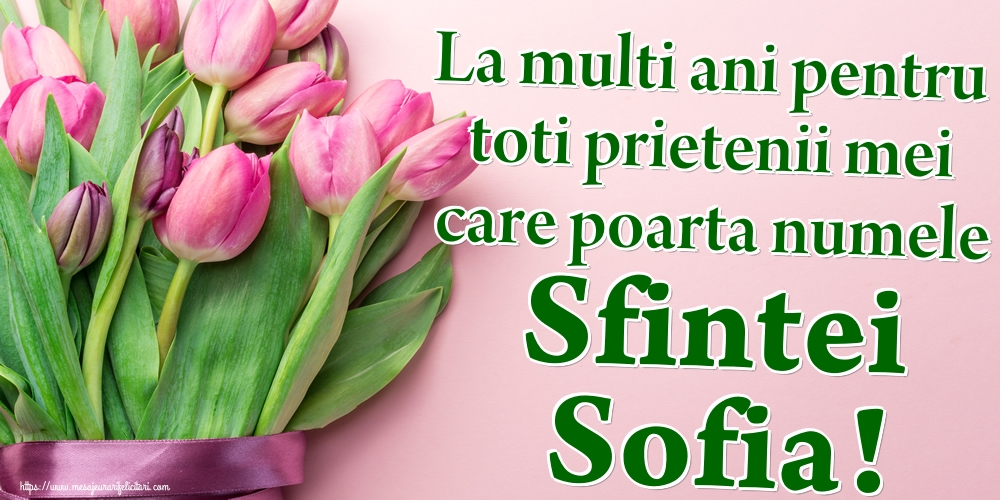 Felicitari de Sfânta Sofia - La multi ani pentru toti prietenii mei care poarta numele Sfintei Sofia! - mesajeurarifelicitari.com