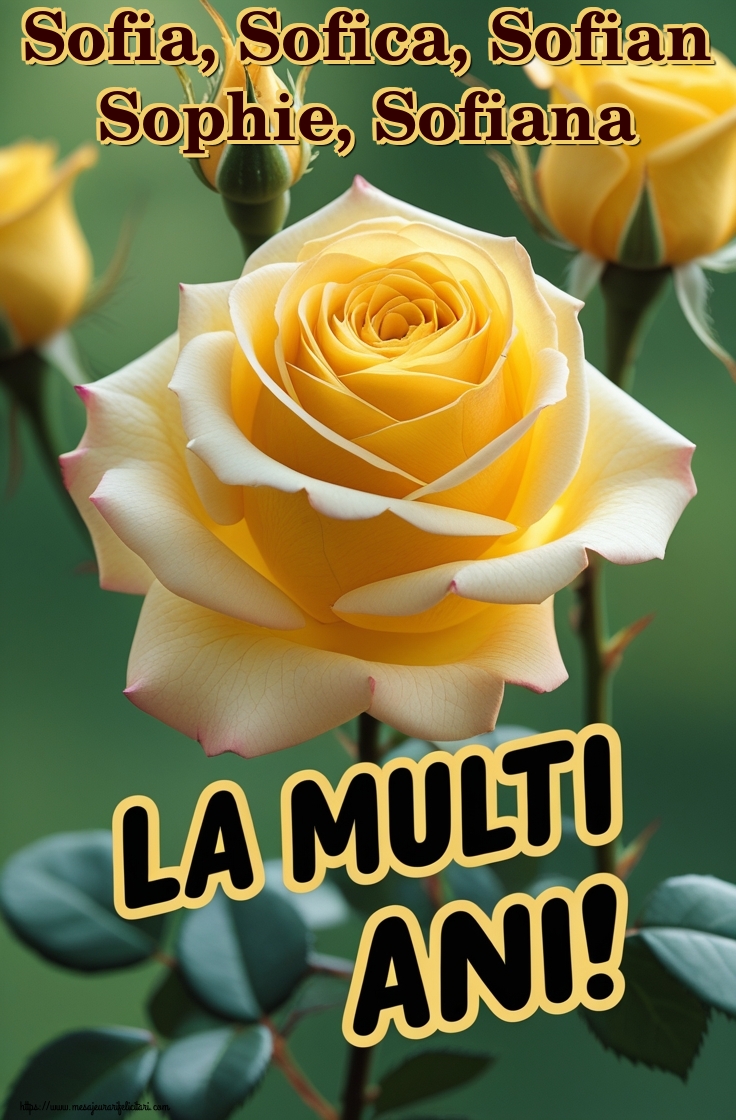 Sofia, Sofica, Sofian Sophie, Sofiana