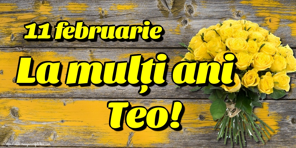 11 februarie La mulți ani Teo!