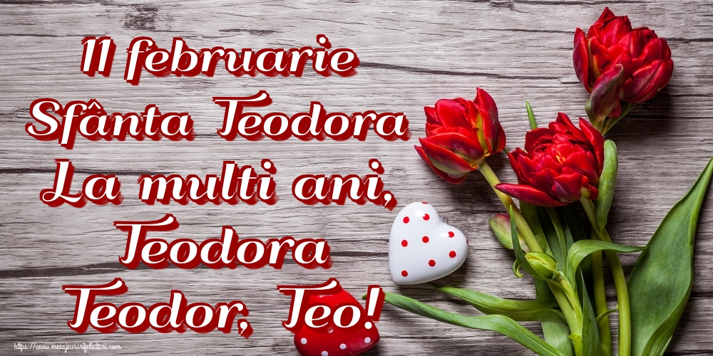 11 februarie Sfânta Teodora La multi ani, Teodora Teodor, Teo!