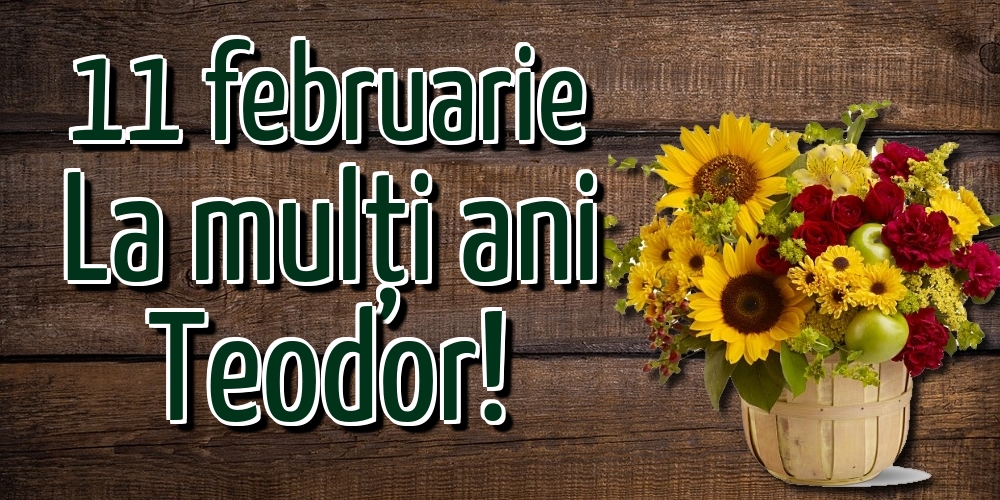 11 februarie La mulți ani Teodor!