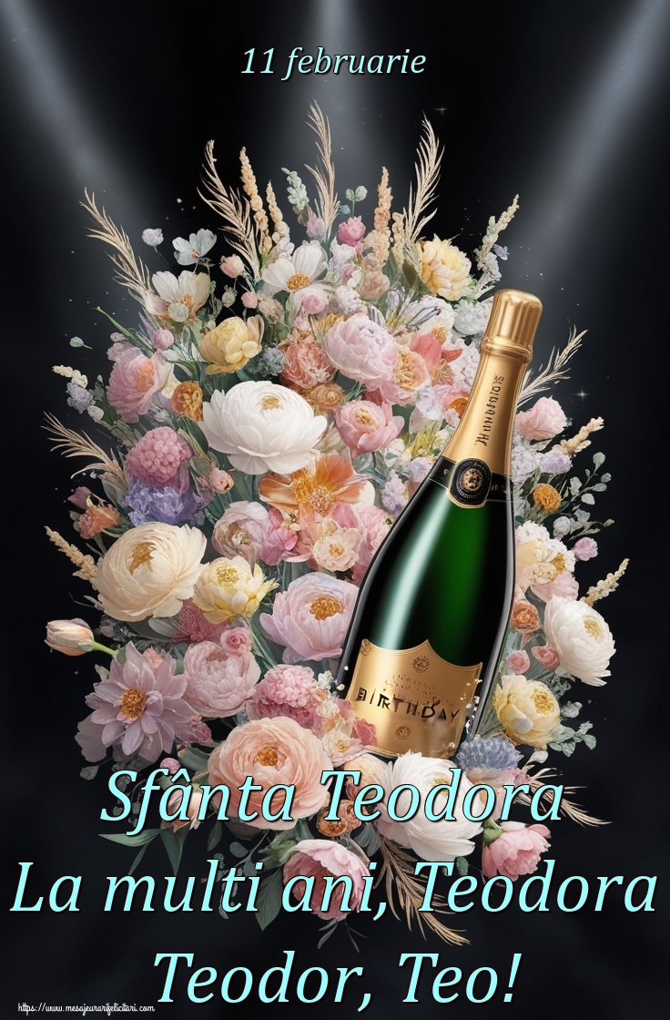 11 februarie Sfânta Teodora La multi ani, Teodora Teodor, Teo!