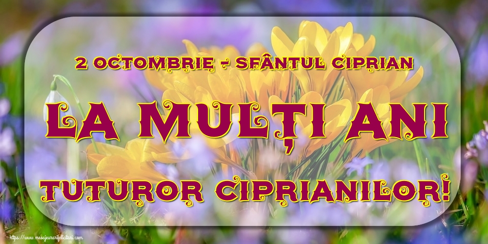Felicitari de Sfântul Ciprian - 2 Octombrie - Sfântul Ciprian La mulți ani tuturor Ciprianilor! - mesajeurarifelicitari.com