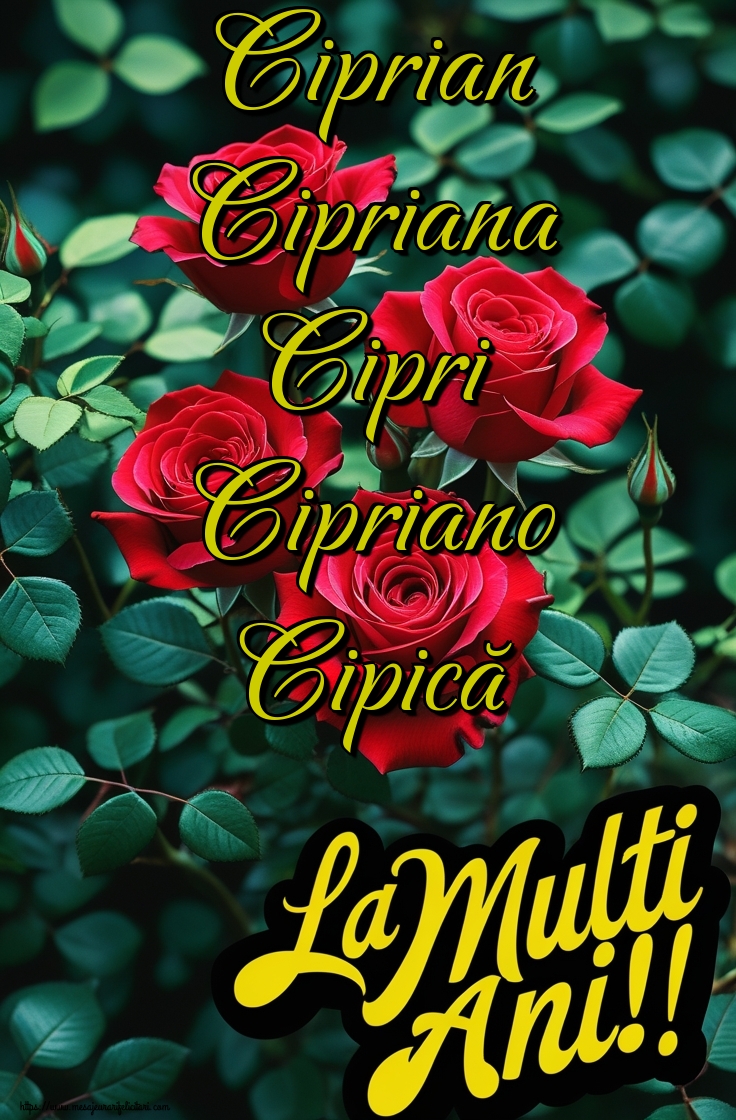 Ciprian Cipriana Cipri Cipriano Cipică