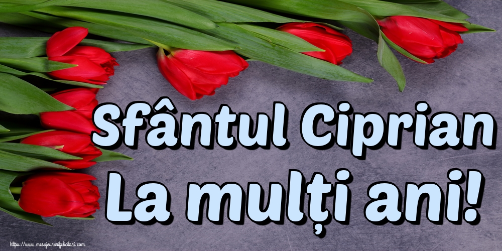 Sfântul Ciprian La mulți ani!