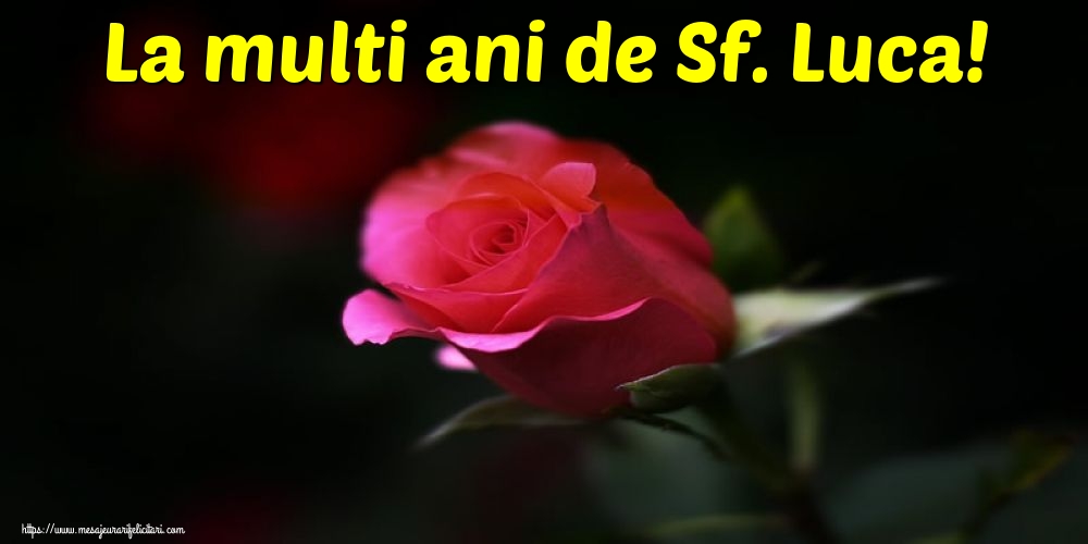 Sfântul Luca La multi ani de Sf. Luca!