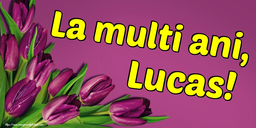 La multi ani, Lucas!