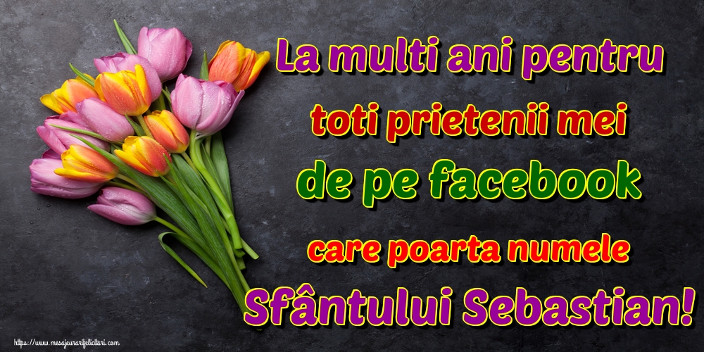 La multi ani pentru toti prietenii mei de pe facebook care poarta numele Sfântului Sebastian!