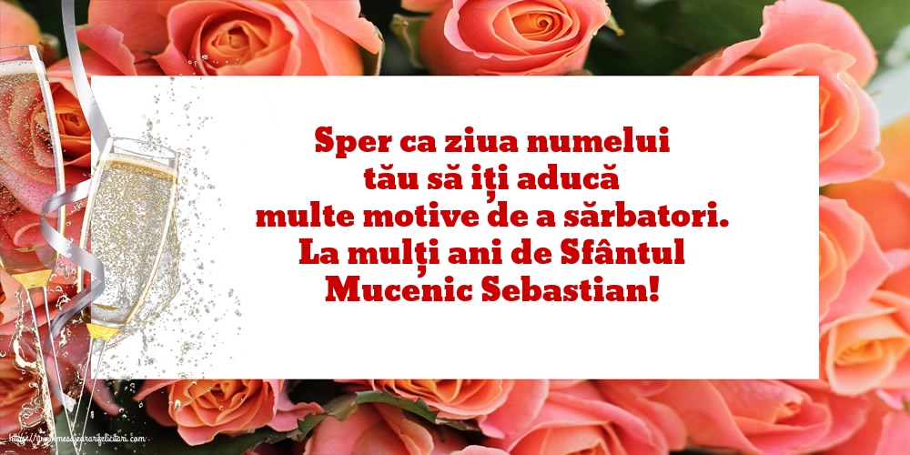 Felicitari de Sfântul Sebastian cu sampanie - La mulți ani de Sfântul Mucenic Sebastian!