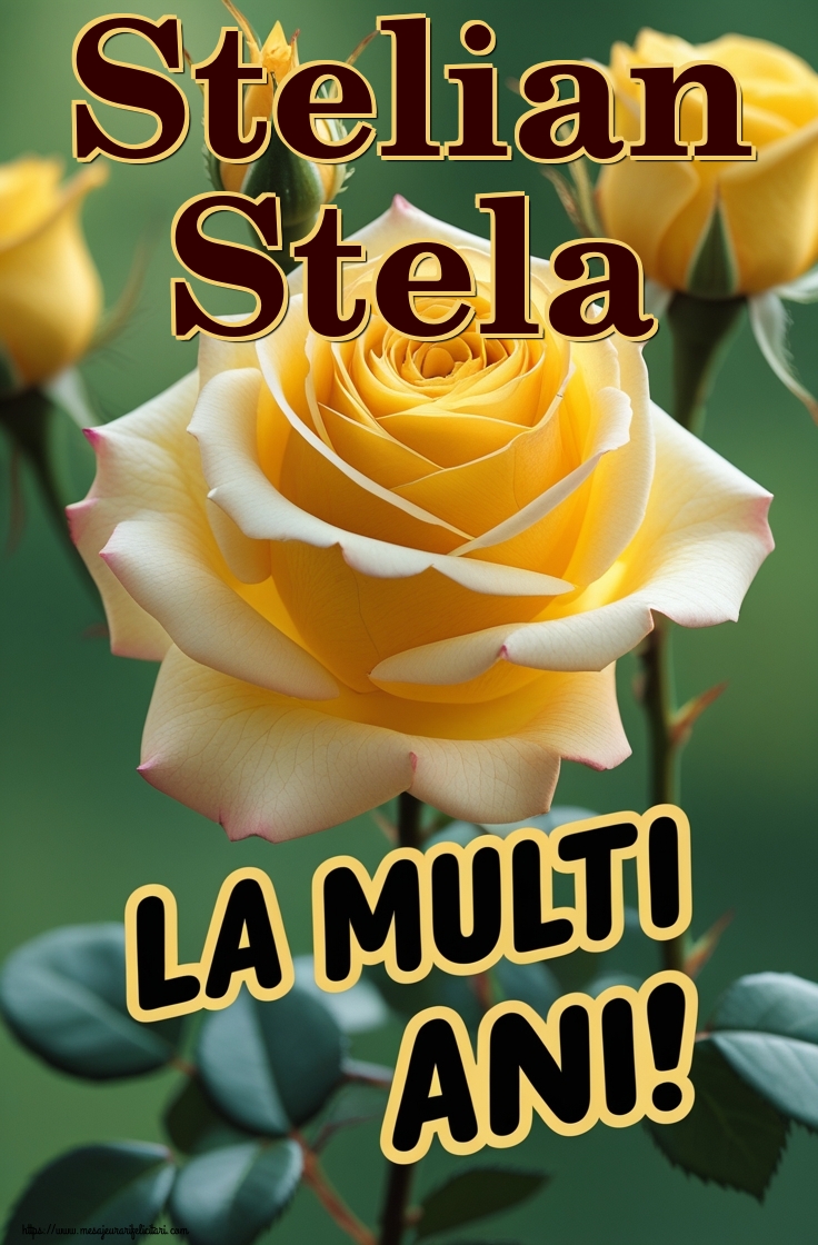 Stelian Stela
