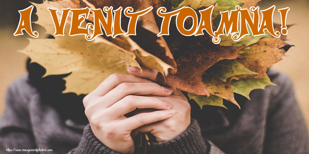 A venit toamna!