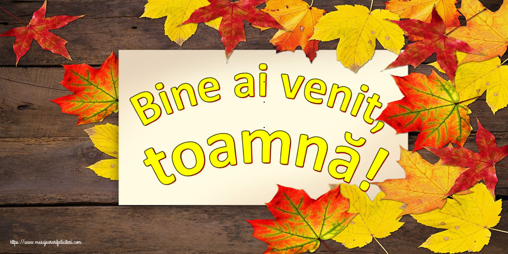 Bine ai venit, toamnă!