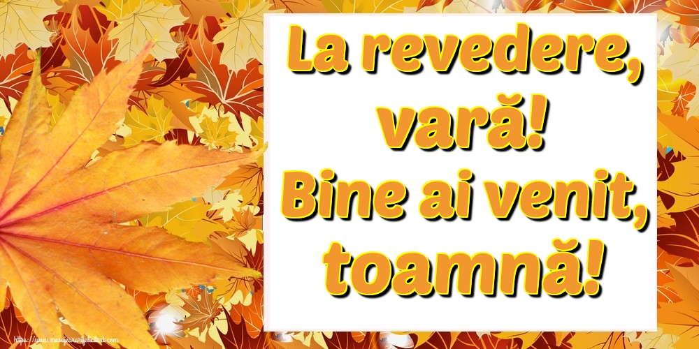 La revedere, vară! Bine ai venit, toamnă!