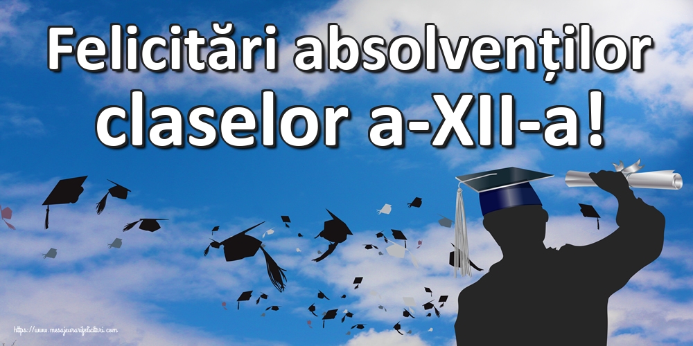 Felicitări absolvenților claselor a-XII-a!