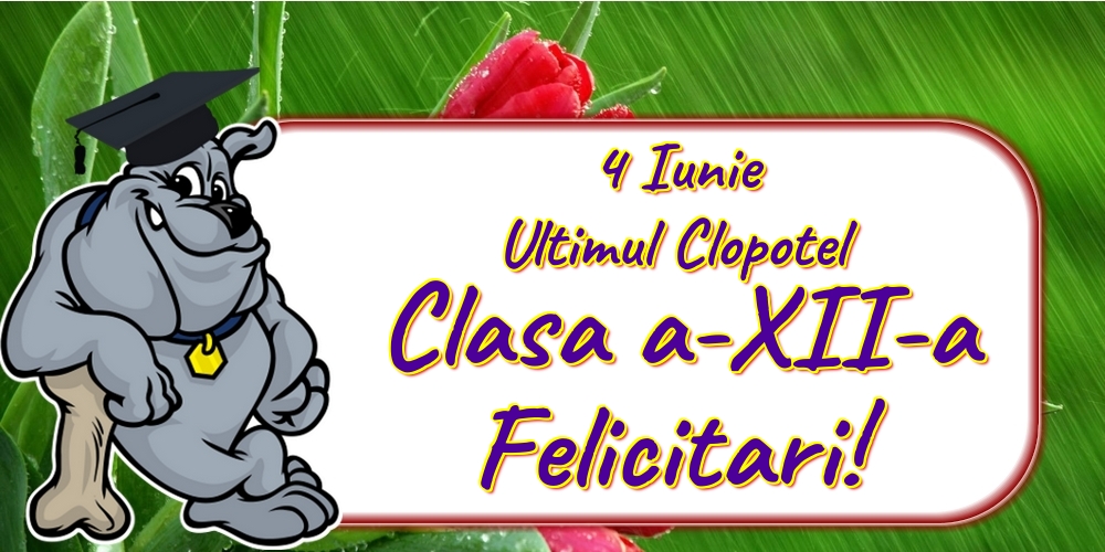 4 Iunie Ultimul Clopotel Clasa a-XII-a Felicitari!