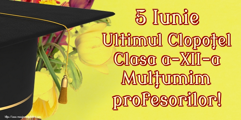 5 Iunie Ultimul Clopoţel Clasa a-XII-a Mulţumim profesorilor!