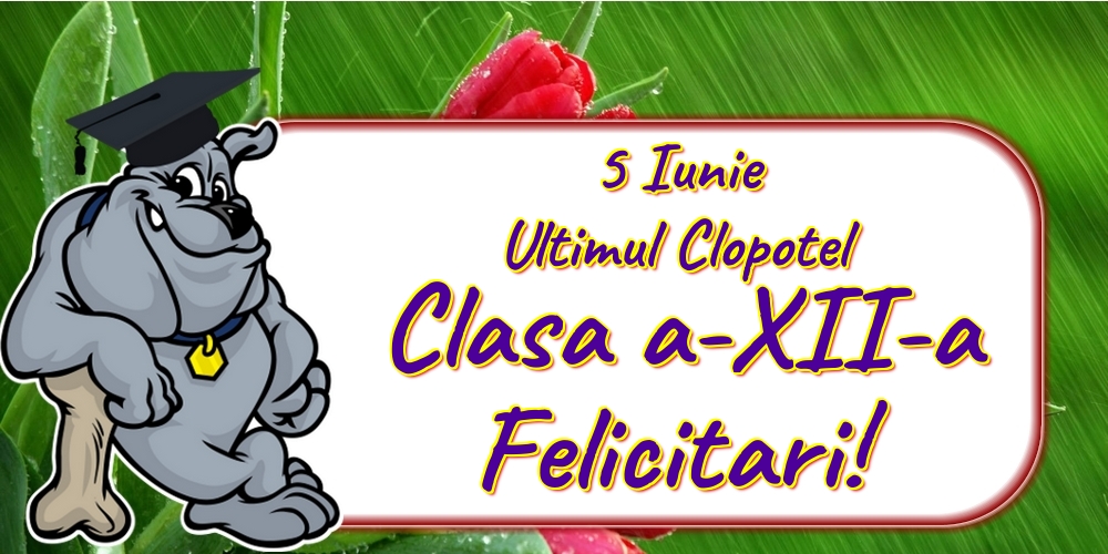 5 Iunie Ultimul Clopotel Clasa a-XII-a Felicitari!