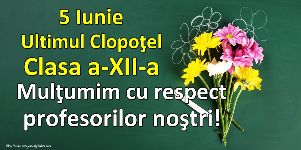 5 Iunie Ultimul Clopoţel Clasa a-XII-a Mulţumim cu respect profesorilor noştri!