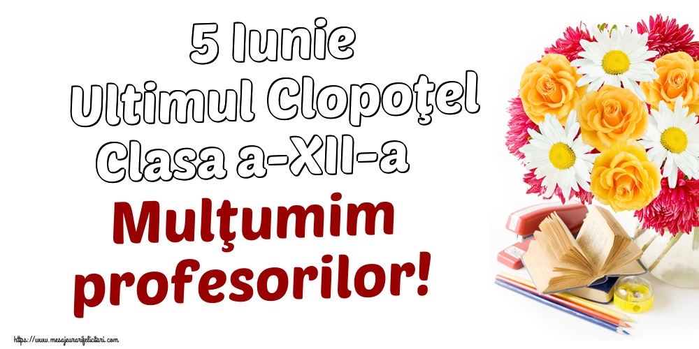 5 Iunie Ultimul Clopoţel Clasa a-XII-a Mulţumim profesorilor!