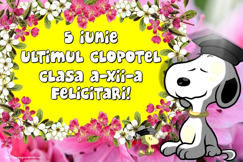 5 Iunie Ultimul Clopotel Clasa a-XII-a Felicitari!