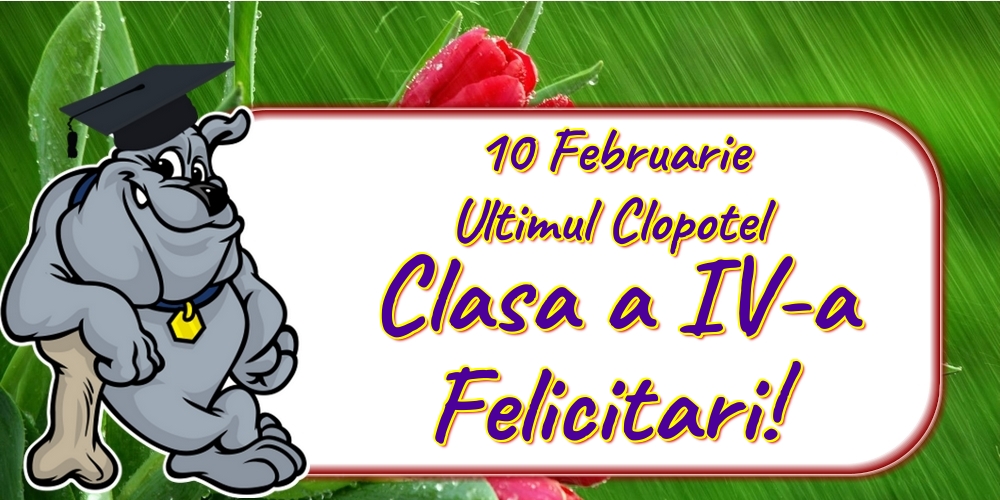 Cele mai apreciate felicitari de Ultimul clopoţel clasa a IV-a - 10 Februarie Ultimul Clopotel Clasa a IV-a Felicitari!