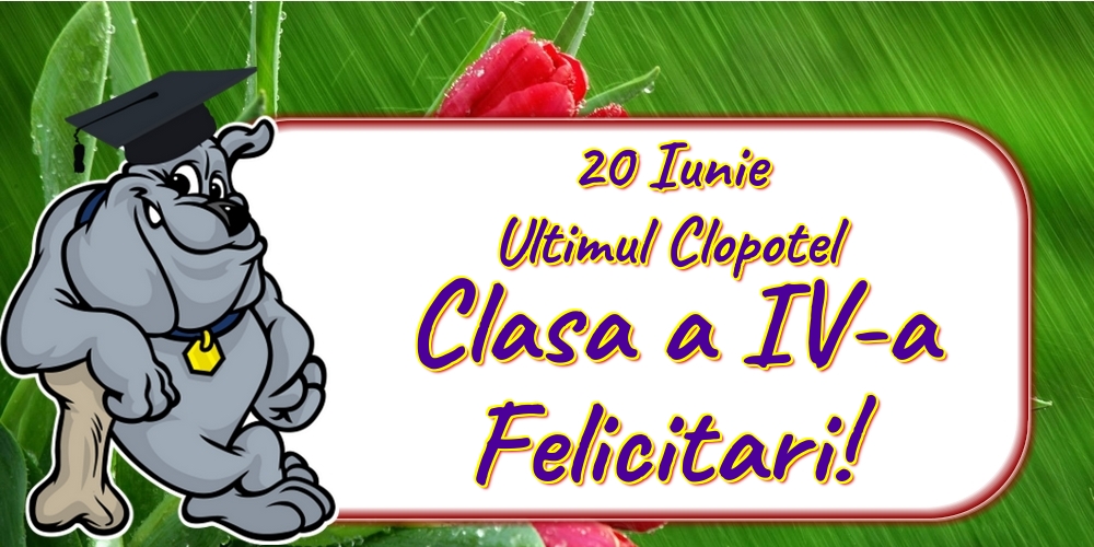 20 Iunie Ultimul Clopotel Clasa a IV-a Felicitari!