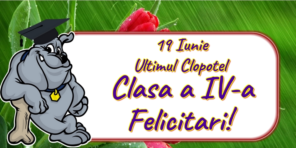 19 Iunie Ultimul Clopotel Clasa a IV-a Felicitari!