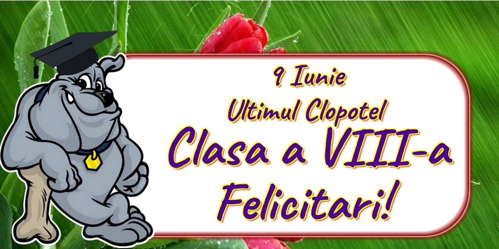 9 Iunie Ultimul Clopotel Clasa a VIII-a Felicitari!