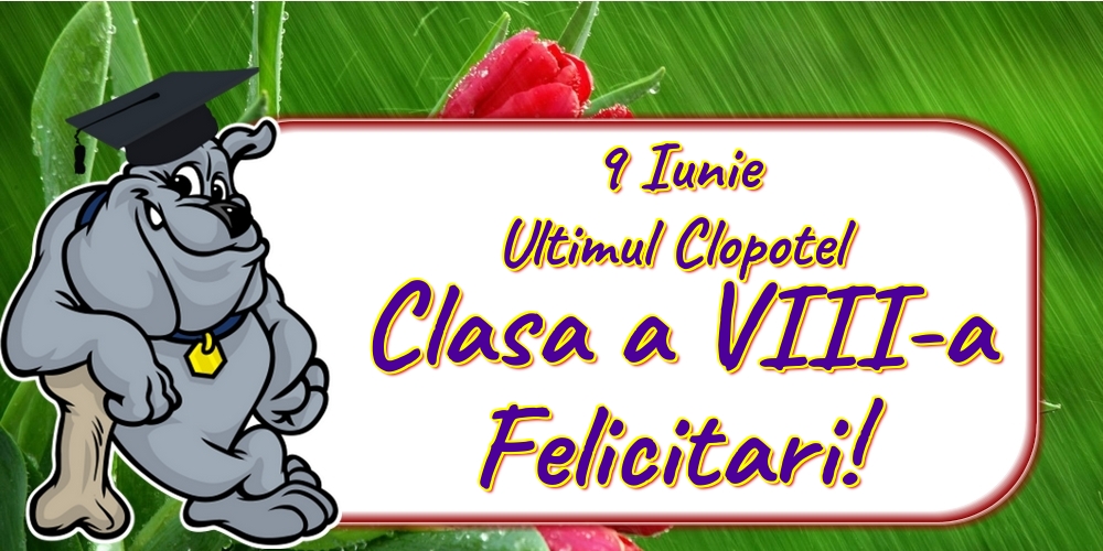 Felicitari de Ultimul clopoţel clasa a VIII-a - 9 Iunie Ultimul Clopotel Clasa a VIII-a Felicitari! - mesajeurarifelicitari.com