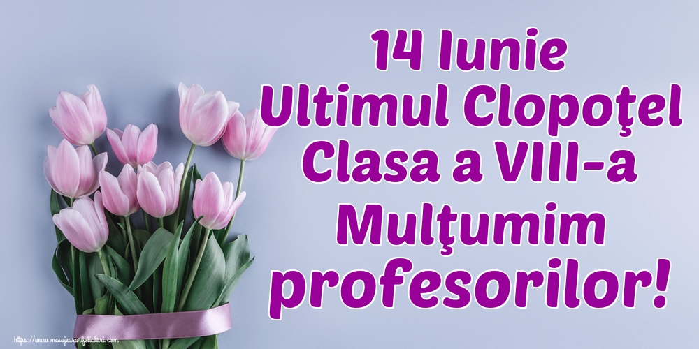 Felicitari de Ultimul clopoţel clasa a VIII-a - 14 Iunie Ultimul Clopoţel Clasa a VIII-a Mulţumim profesorilor! - mesajeurarifelicitari.com