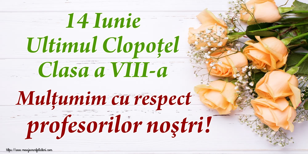 14 Iunie Ultimul Clopoţel Clasa a VIII-a Mulţumim cu respect profesorilor noştri!
