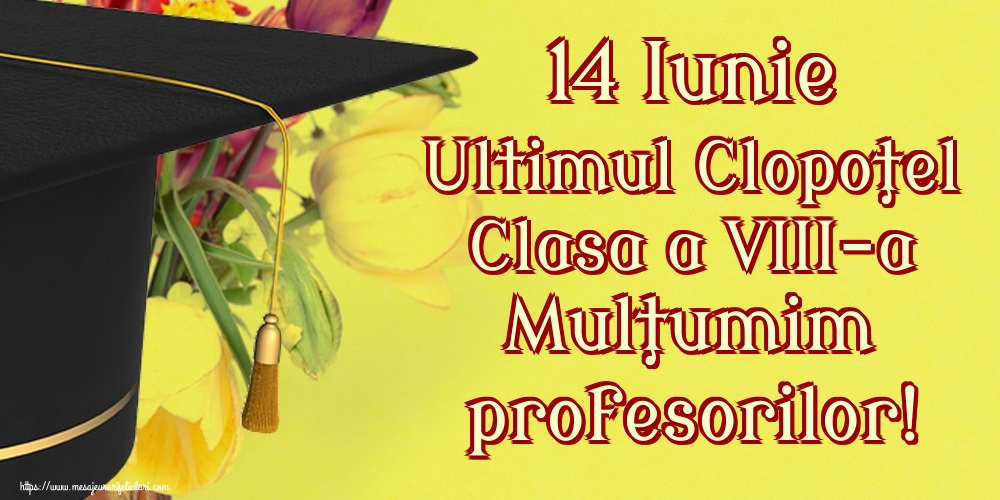 14 Iunie Ultimul Clopoţel Clasa a VIII-a Mulţumim profesorilor!
