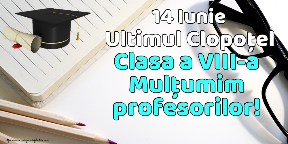 14 Iunie Ultimul Clopoţel Clasa a VIII-a Mulţumim profesorilor!