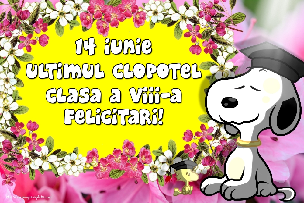 14 Iunie Ultimul Clopotel Clasa a VIII-a Felicitari!